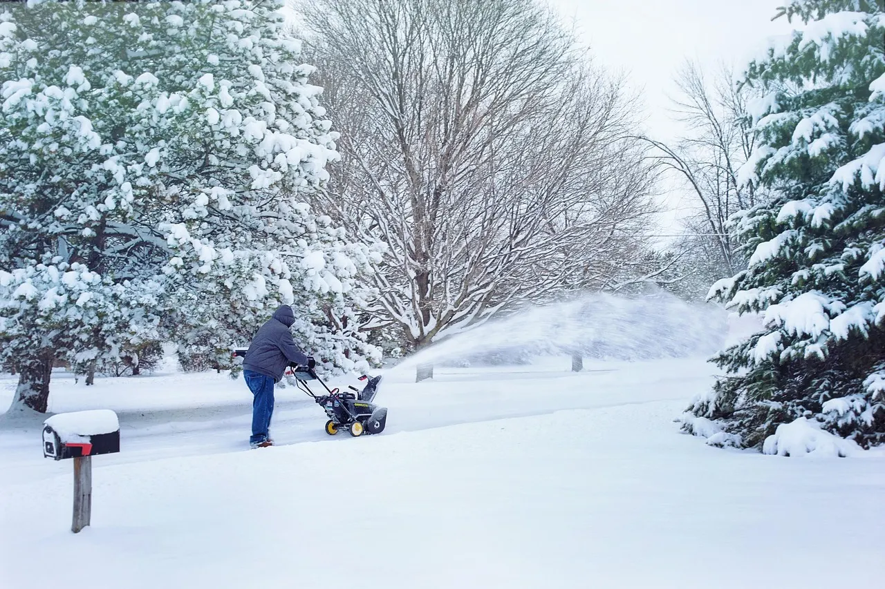A person clearing a residential driveway with a walk-behind snowblower beside snow-laden pines